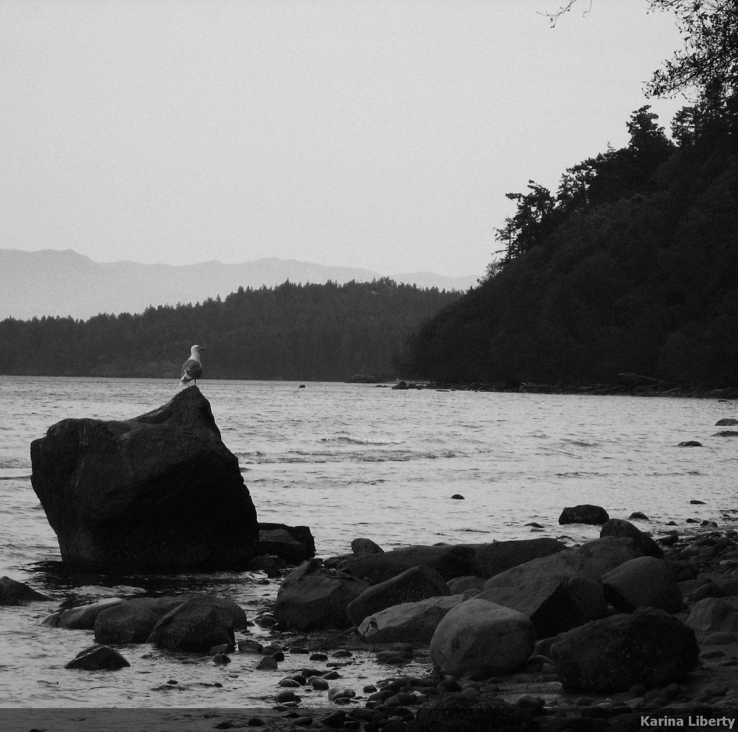 Cove - Photography landscape nature black and white ocean - digital art print - 8 x 8