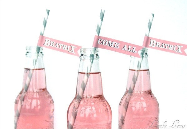 Drinking Straws With Custom Pennants . Come One Come All Collection (Pink) . by Loralee Lewis