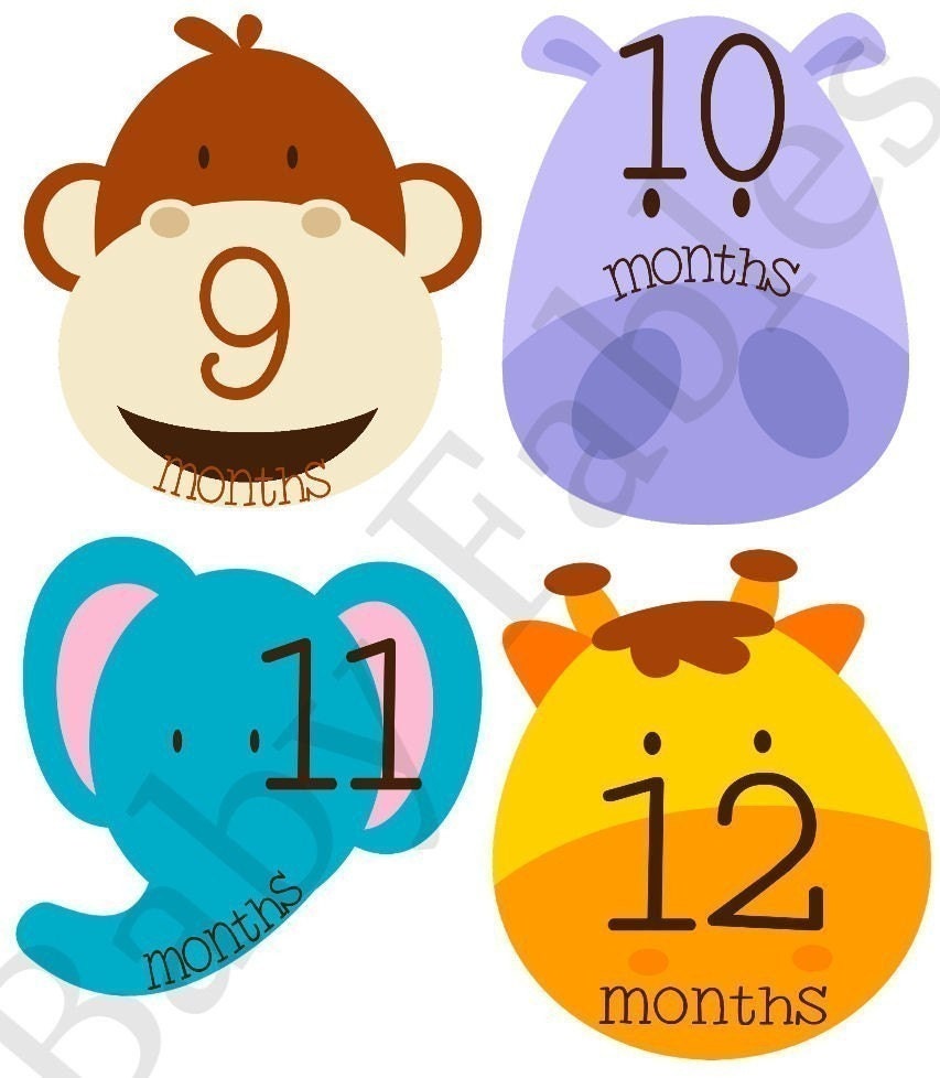 Monthly Baby Onesie Stickers - Animal Faces