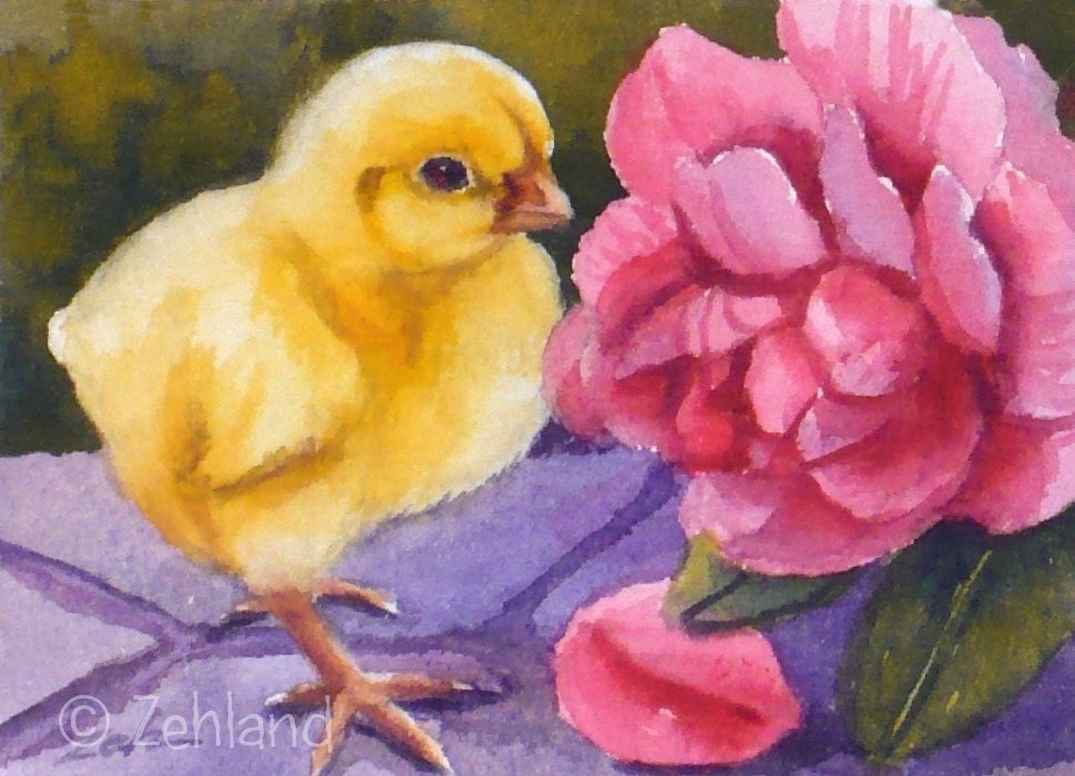 Fine Art Print Baby Chick Pink Rose Flower Janet Zeh