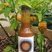 Hot Sauce, Habanero Hot Sauce, Desert Sun Habanero Hot Sauce - 1.7 oz.