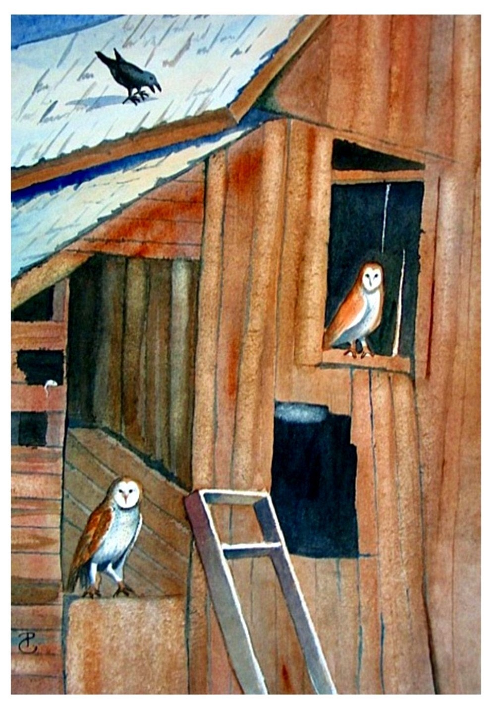 Barn Owls Card