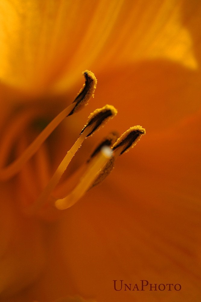 Orange  Summer Feeling Print on canvas s 5.5 x 8
