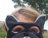 Felt Raccoon Mask