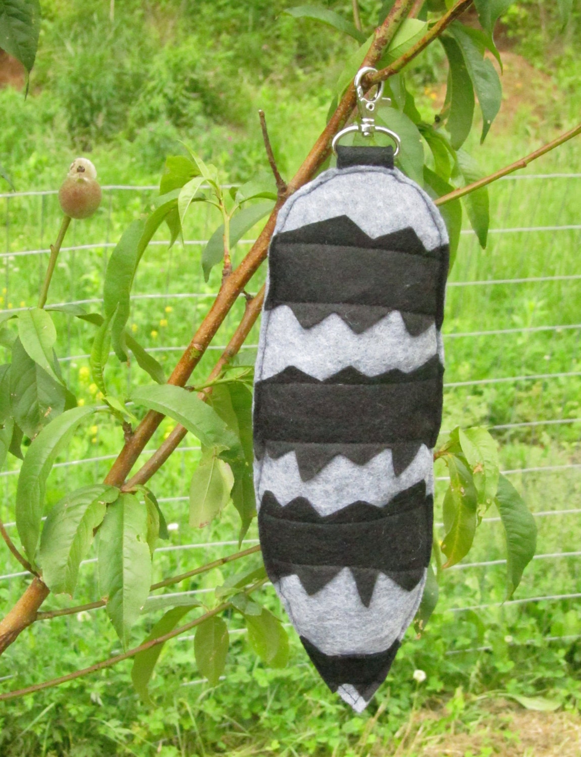 Raccoon Tail