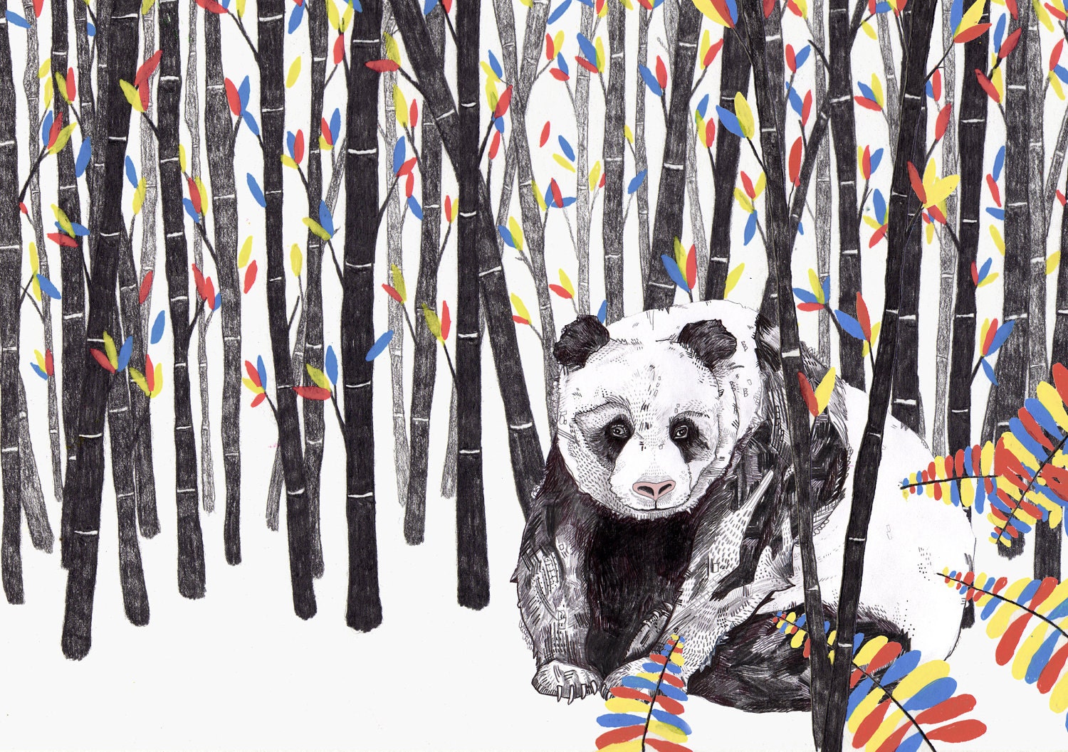 Endangered Animals Postcard Set // Reserved for Romi