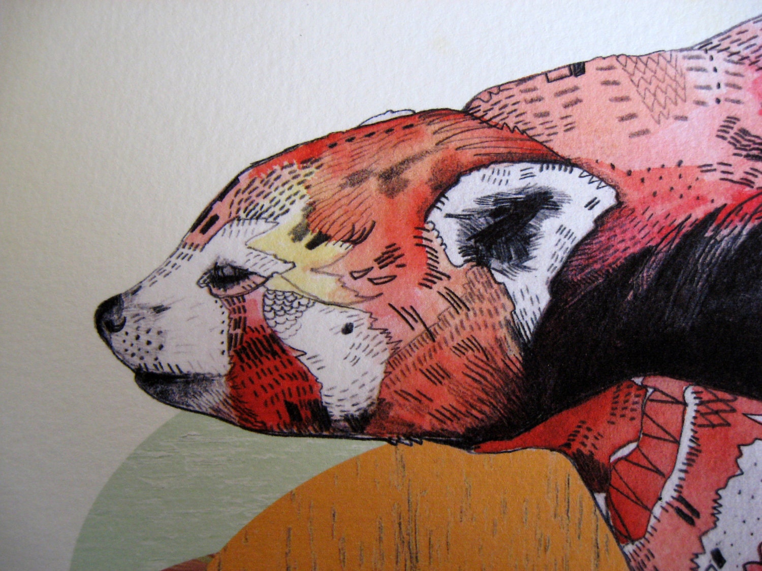 Red Panda //  print 5x8 (A5)