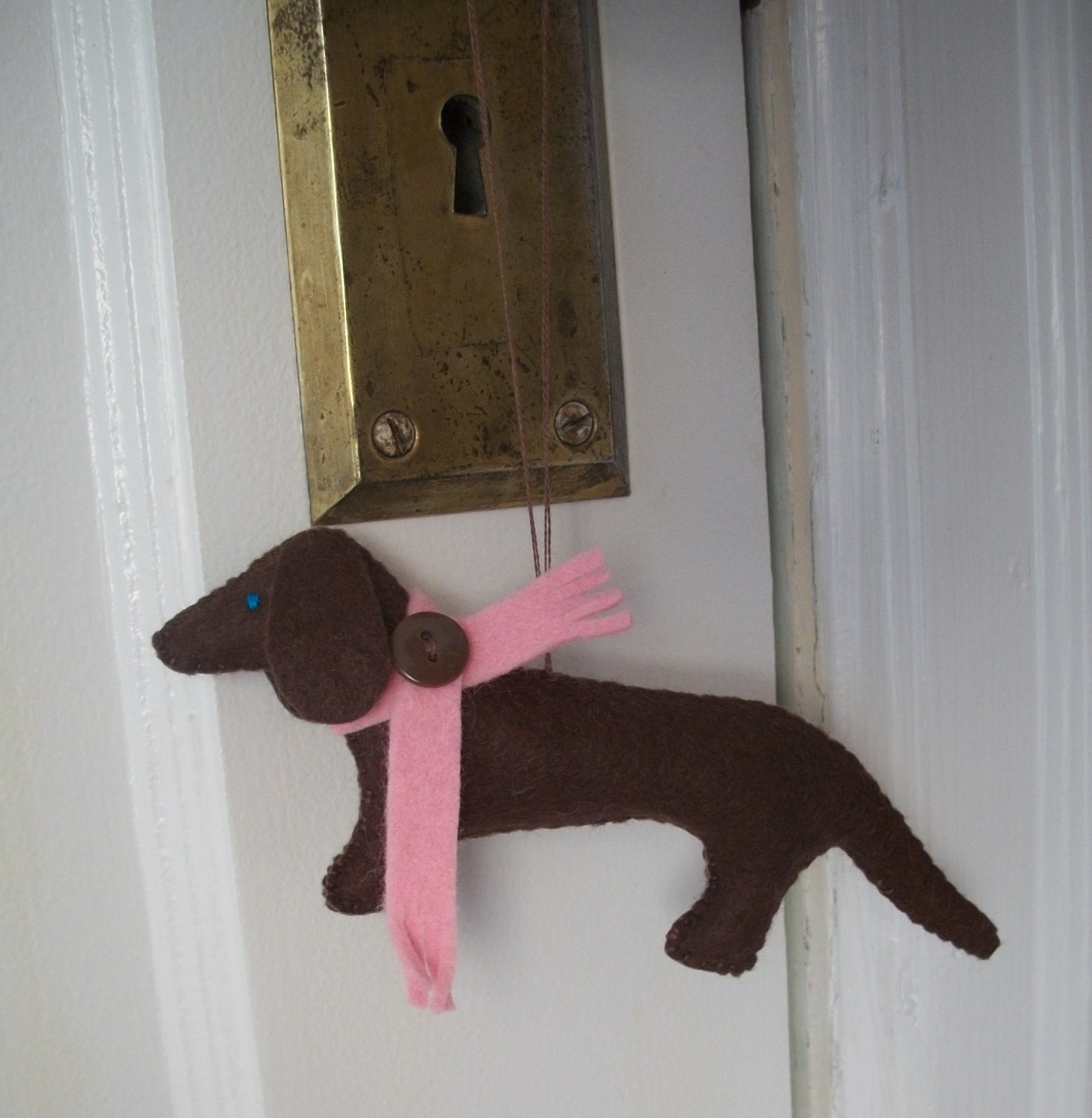 miniature brown dachshund