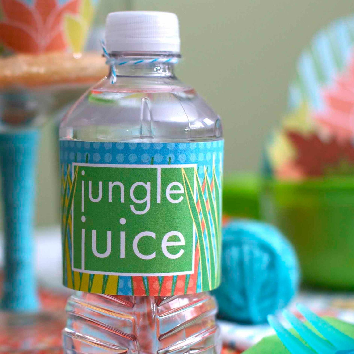 Water Bottle Birthday Labels from the Wild Child Lion DIY Printable Collection by Spaceships and Laser Beams Il_170x135