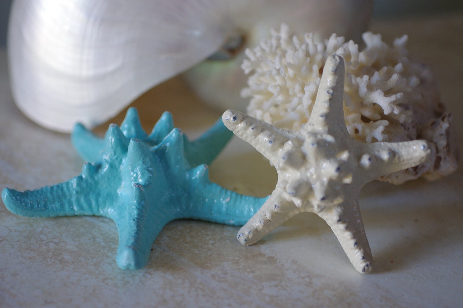 Beach Decor - Set of 2 Cast Iron Knobby Starfish - PICK YOUR COLOR
