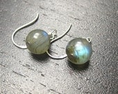 Flash Labradorite Earrings w/ Sterling Silver - Round Grey Green Blue Small