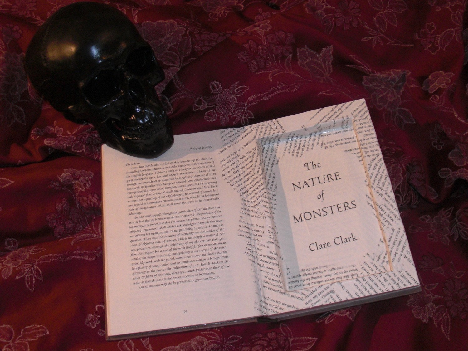 The Nature of Monsters - Hollowed Book