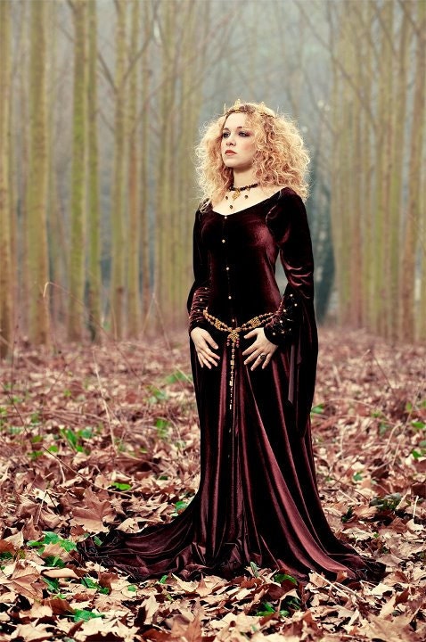 Queen Guinevere dress in velvet