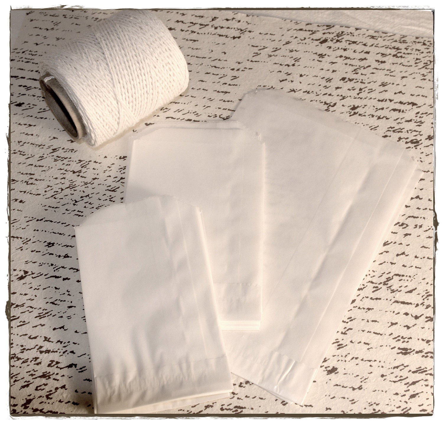 Glassine Bags (25)