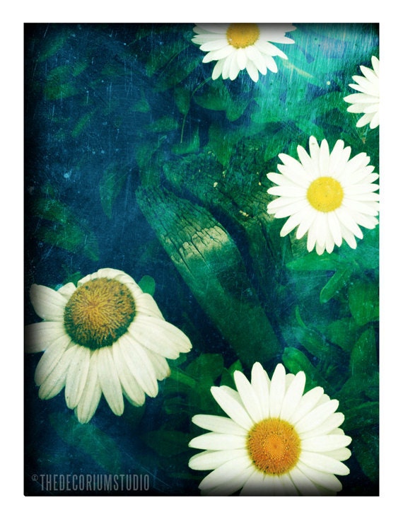 FLOWERS Fine Art Photography print rustic shabby chic beach cottage decor in rich blue green yellow and orange 5x7
