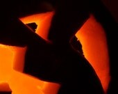 Pumpkin photography, halloween, Jack o Lantern, fine art print, 11x14, orange, black, yellow, fall, thanksgiving, autumn, home decor