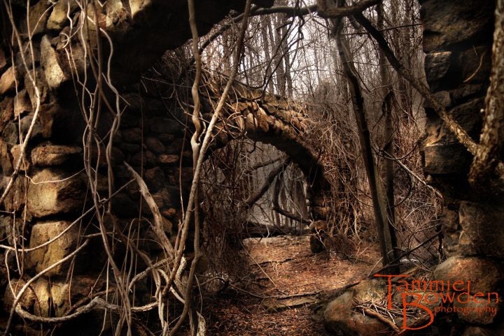 Stone Arches - Original Photograph 8x10 - Mysterious Abandoned Ruins Fantasy Landscape Haunted Halloween