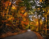 Autumn Drive - Original Photograph 8x10 - Winding Road Fall Foliage Natural Colors Home Decor