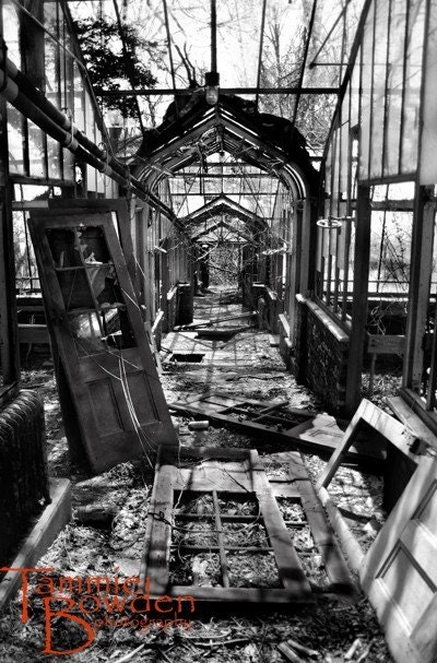 Abandoned Greenhouse - Original Photograph 8x10 - Muted Tones Titanium Grey Gray Ruins Unique Home Decor Wall Art