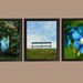 Set of 3 Prints in Green and Blue - 11x14 Photographs - Instant Home Decor Wall Art Garden Outdoors Nature