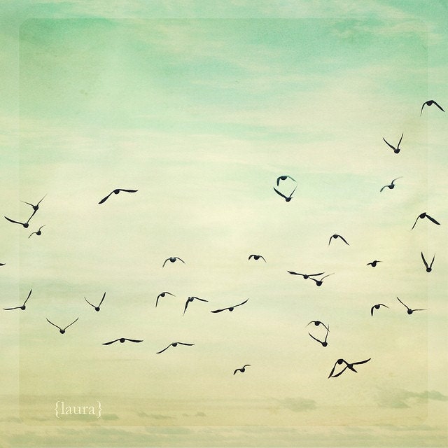 SALE 50% OFF - Bird Photograph - Flock- Baby Nursery - Home Decor - Fine Art Photo Print  8x8 - "Graceful Flock"