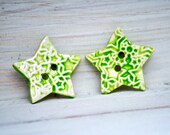 Star Buttons ceramic pair of handmade ceramic buttons in Fresh Green