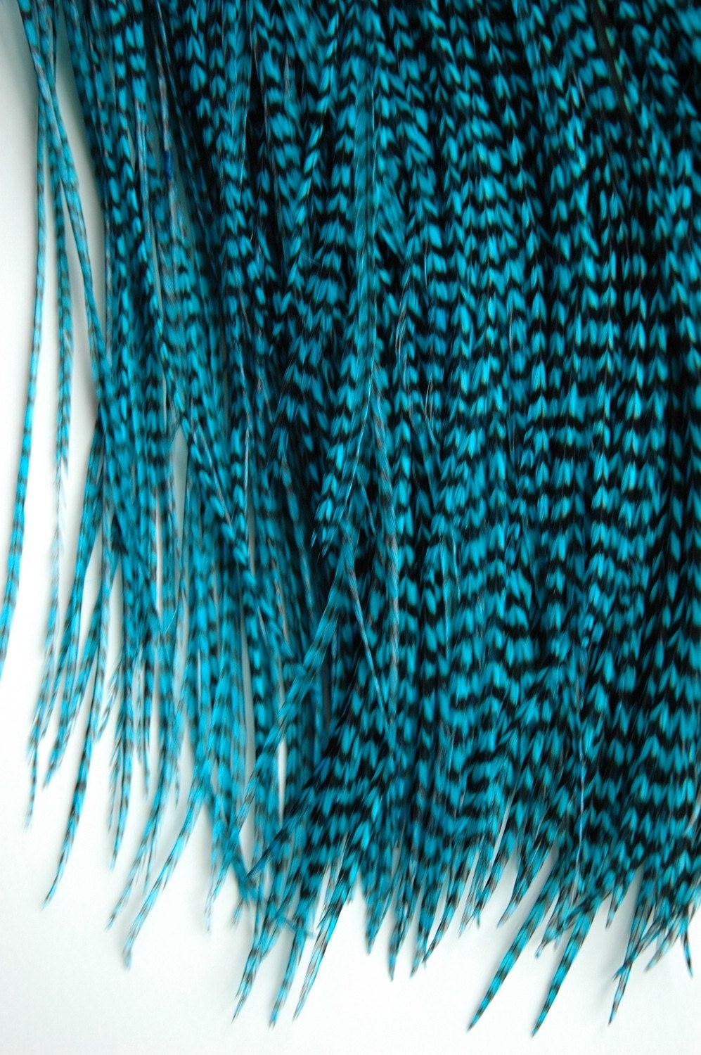 EXTRA LONG bright blue grizzly feathers (7-10 inches) - RARE hair extensions