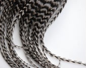 20-30 short grizzly feather hair extensions (3-6 inches) - BLACK & WHITE GRIZZLY bulk lot