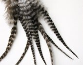 10 medium thick grizzly feather hair extensions (5-7 inches) - earrings or hair extension