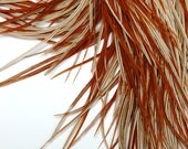 EXTRA LONG auburn gold feather hair extensions (10-14 inches) - hair feathers
