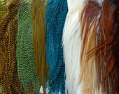 feather hair extensions 100 natural colors LONG - Salon grade bulk lot for hair extensions
