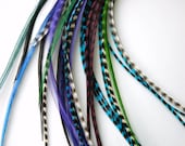 EXTRA LONG Purple/Blue mix (10-14 inches) feather hair extensions lot with FREE crimp beads