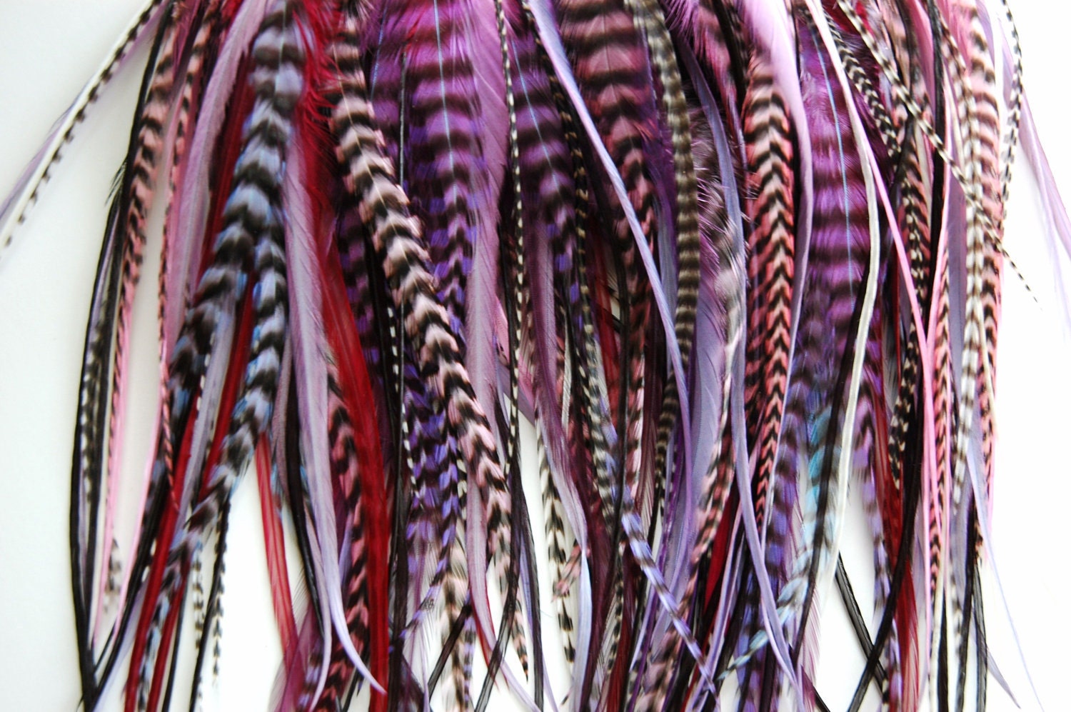 Instructions for installing our Feather Hair Extensions