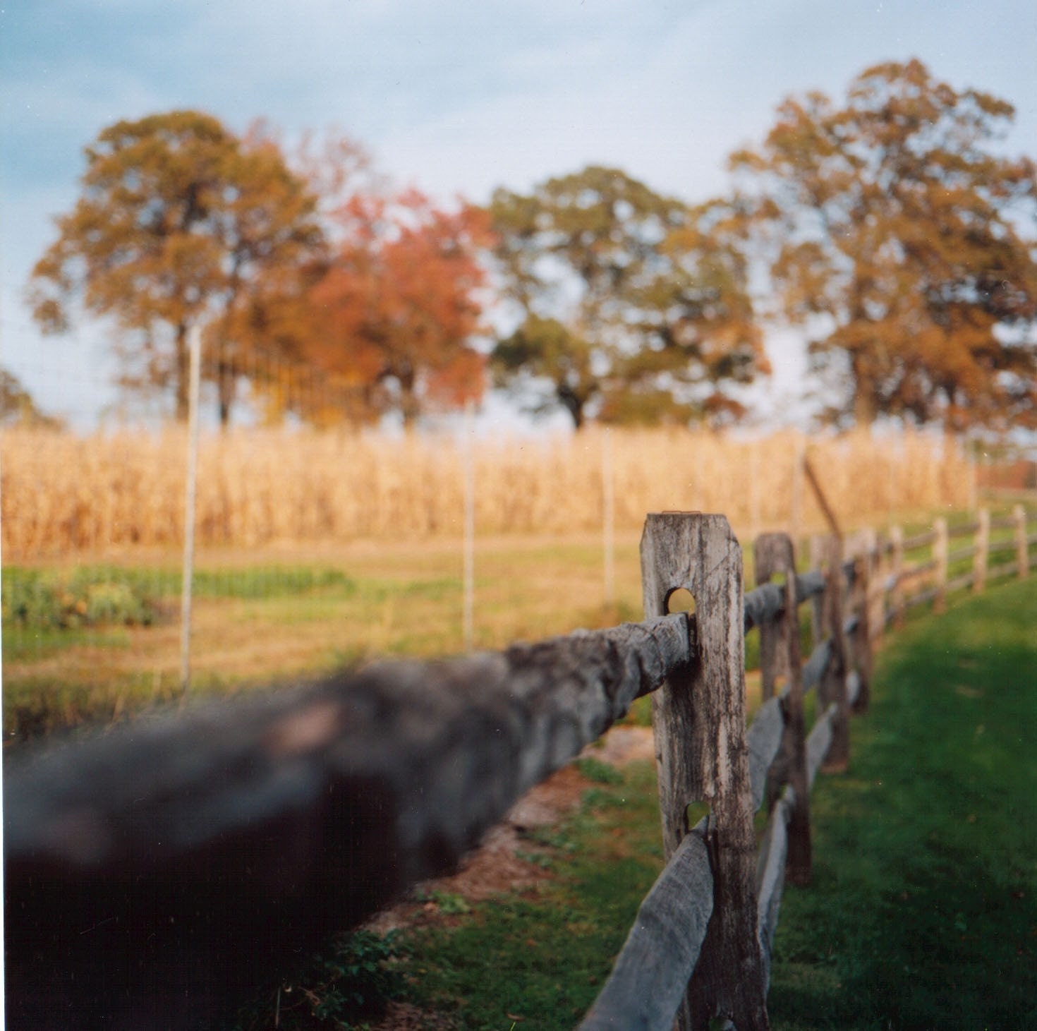 at stone barns print of hasselblad photo