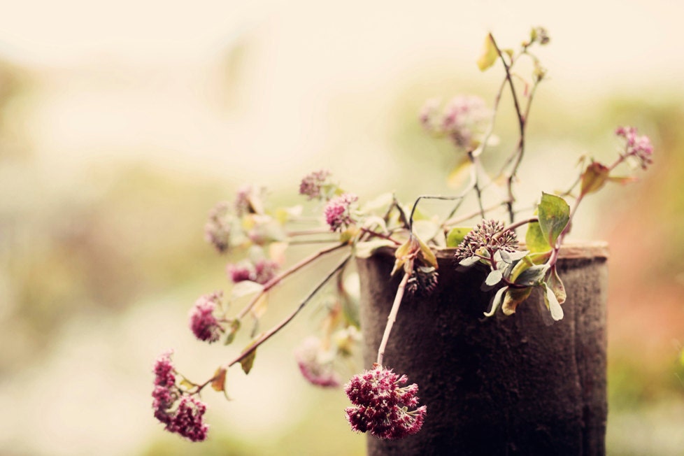 Flower Photography 8 x 12 Print. Still Life, Vintage, Lemon, Flowers, Green, Pink, Dreamy, Delicate, Old Flower Pot