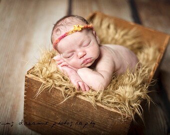 SALE - Leighton Heritage Camel - Soft, Cozy, Cuddly Faux Fur Nest - Perfect Newborn Photography Prop - Plush Long Pile