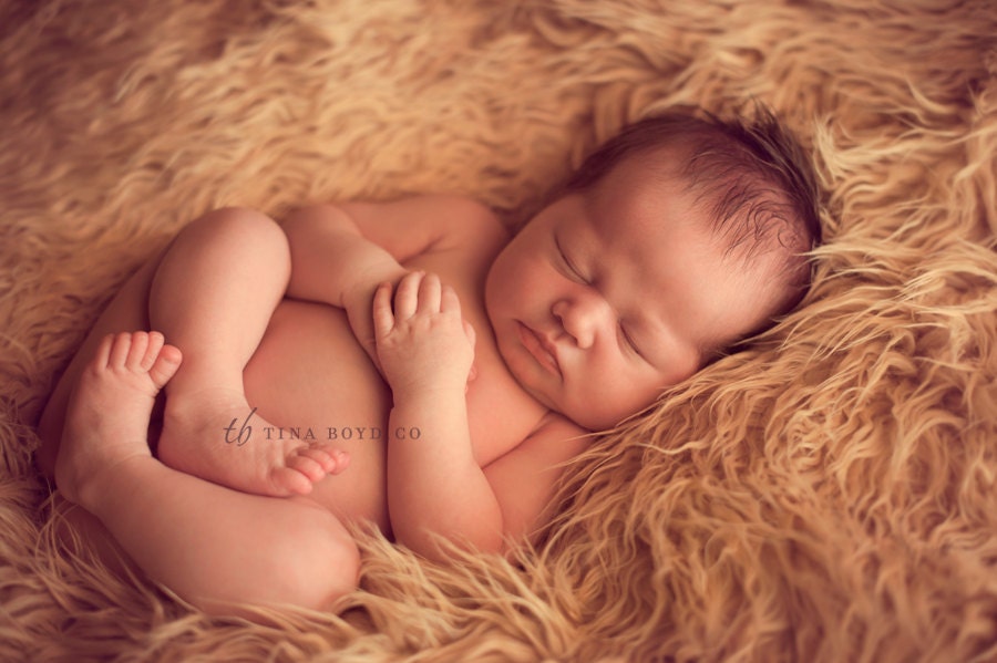 SALE - Tan Faux Fur Photography Prop - Soft, Cozy, Cuddly Faux Fur Nest - Perfect Newborn Photography Prop