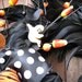 Sassy Black and Orange Halloween Feather Wreath