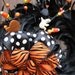 Sassy Black and Orange Halloween Feather Wreath