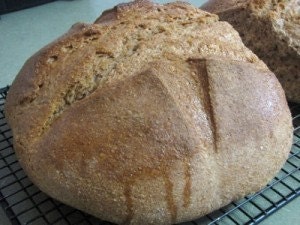 Gluten Free Authentic San Francisco Sourdough Bread Starter