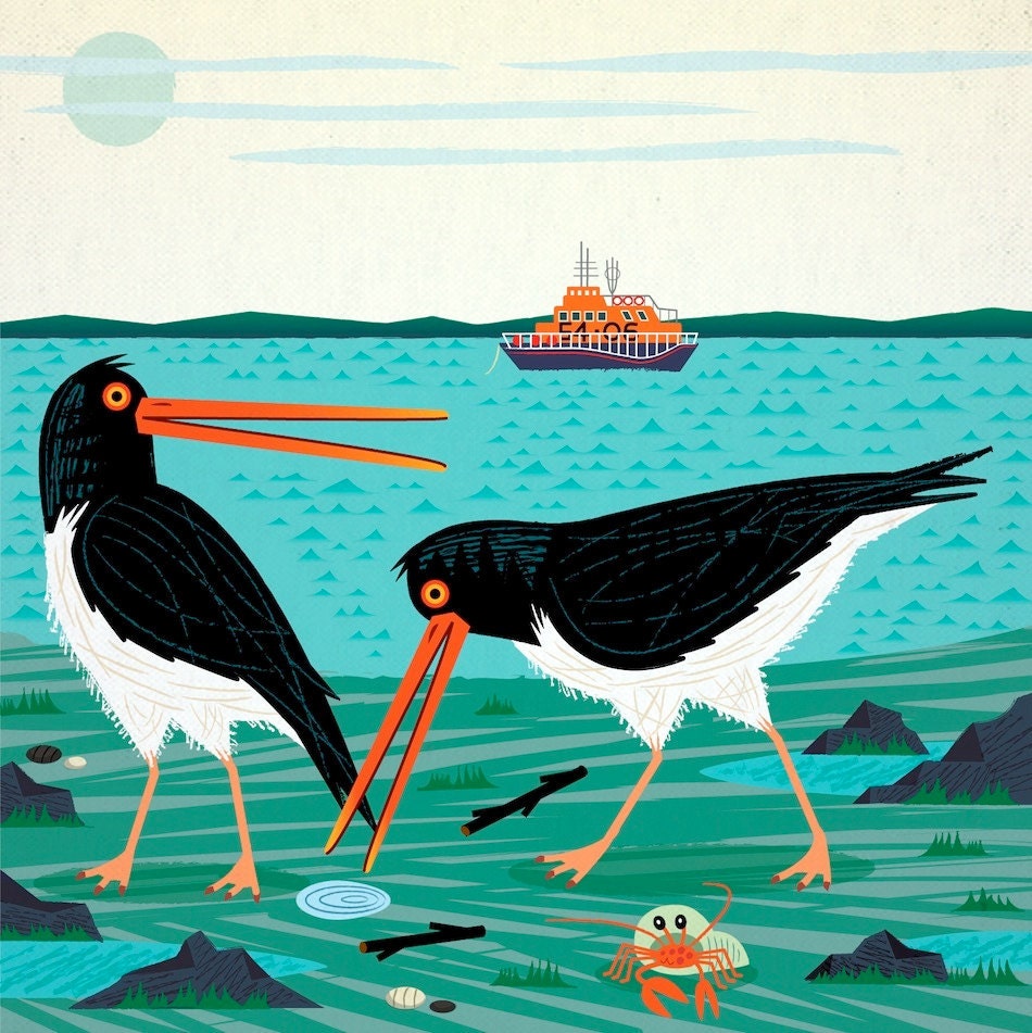 The Oystercatchers - Animal Art illustration - Limited Edition Print - iOTA
