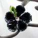 Prima Donna Kanzashi Flower Hair Pin (Medium)