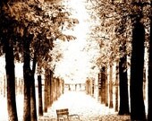 Vacant Park in Paris, Fine Art Print 8x10