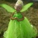 Disney's Inspired TINKERBELL Tutu Dress Up Costume