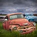 Vintage Bodies a Fine Art Photograph of a Junk Yard