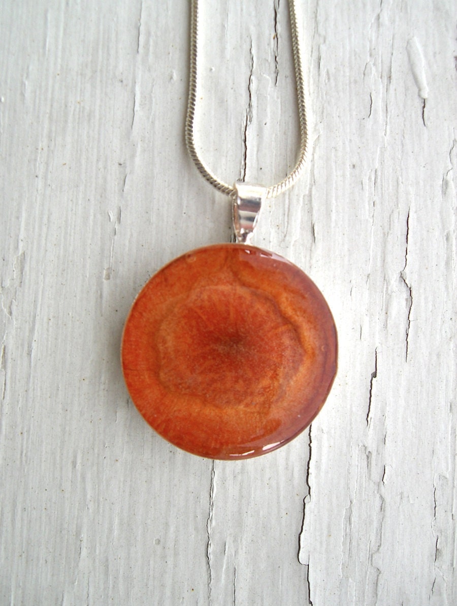 Real Carrot Pendant - Vegetable Jewelry - realfruitjewelry