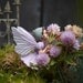 Fairies in the Garden - Flower Fairy Photograph, Fine Art Photo, flower fairies children bedroom home decor sureal fairytale lilac lavender