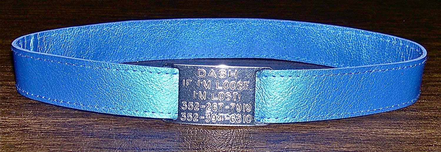 Leather Custom Tag Collar for Greyhounds - Royal Blue Metallic