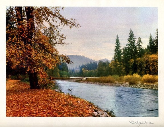 Vintage Collector Travel Print from See Your West photo album