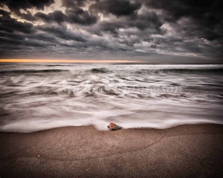 Sea Shell and the Sea Beach Photograph Print 8x10
